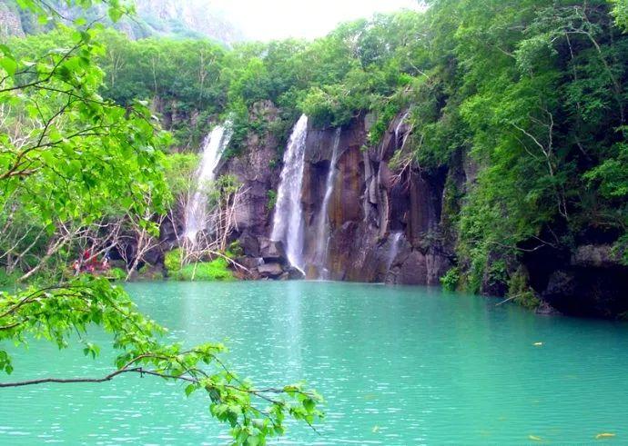 大米炒一炒、泡一泡，清肠、健脾、益肺样样行！5个“长寿宝”快马住→
