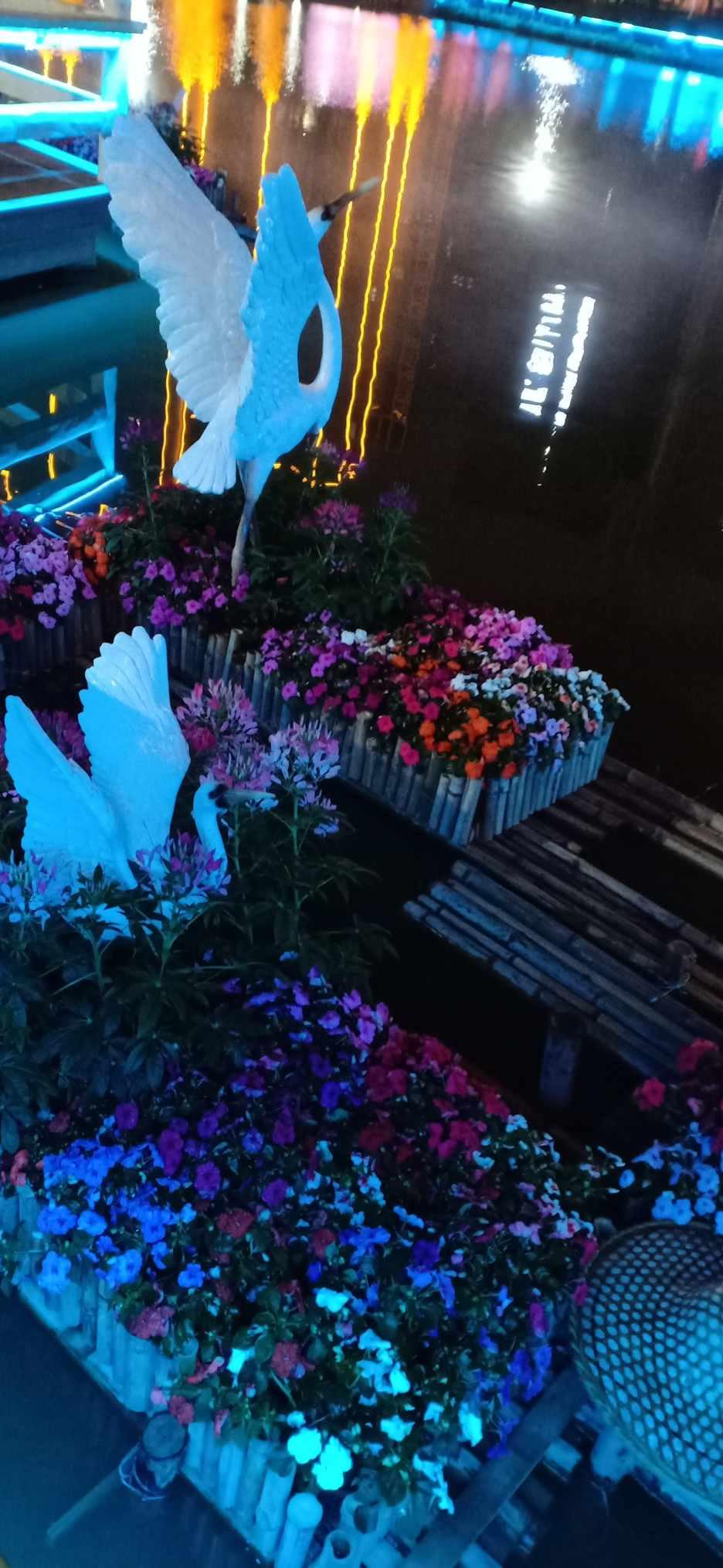 为了汪小姐可以得罪梅萍的宝总,为何宁愿打一晚上的牌也不去赴约